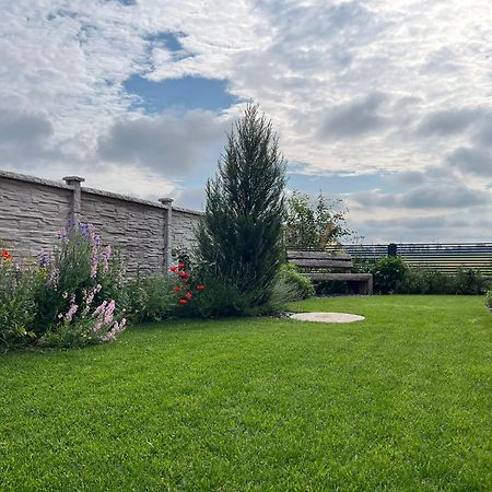 Villa Rose Close To Vienna & Airport Maria Ellend Exterior photo